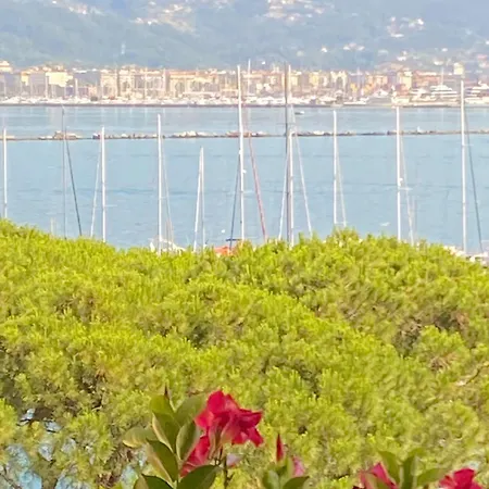 Il Nido D'amare