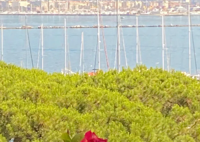 Il Nido D'amare